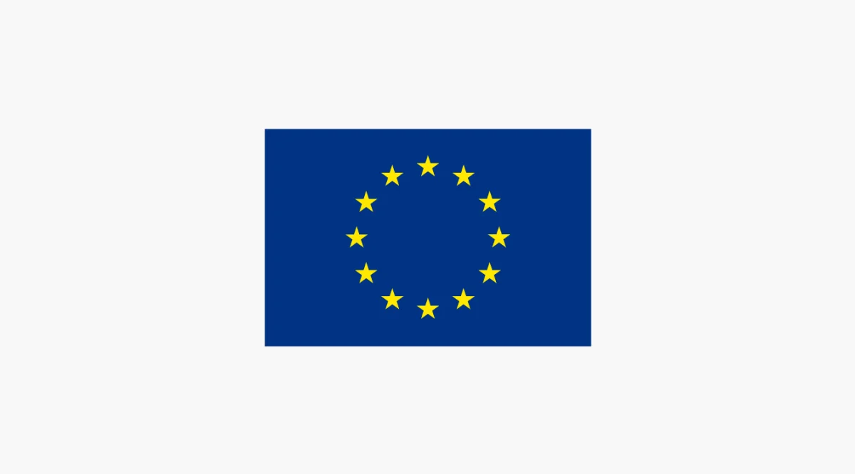 Internationalisation of Wise People’s creative process