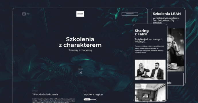 Falco.edu.pl - training for the industry gets a designer's boost