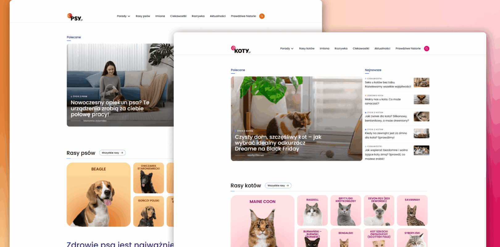 Psy.pl and Koty.pl - user-focused and technological redesign of leading thematic portals