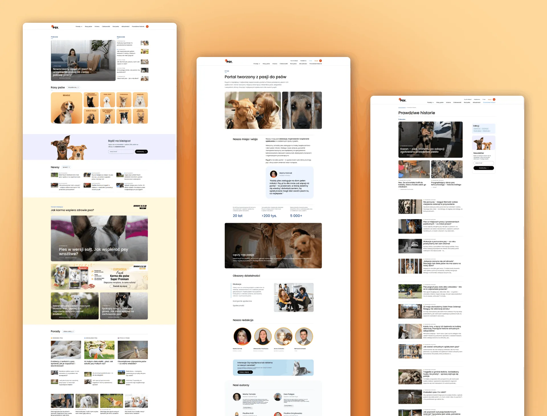 Mockupy prezentujące responsywne designy portalu psy.pl w wersji desktop, zaprojektowany przez Wise People.